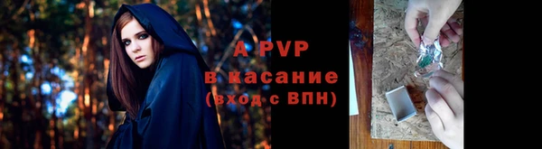 ALPHA PVP Бородино