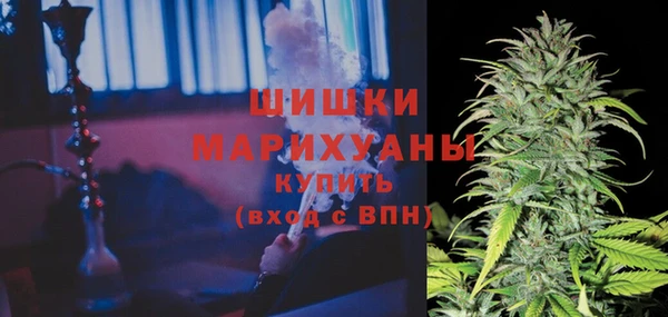индика Наволоки
